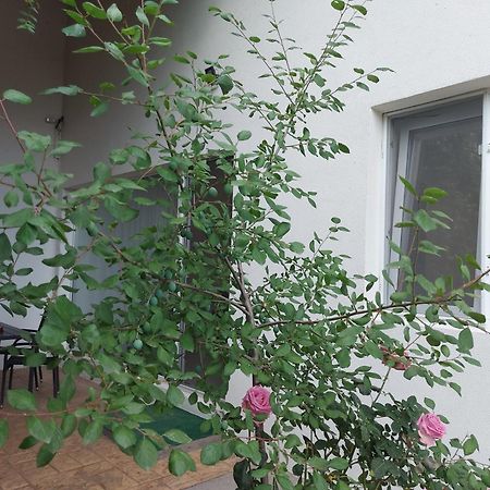 Villa Romelia - Select Apartments バドゥ エクステリア 写真