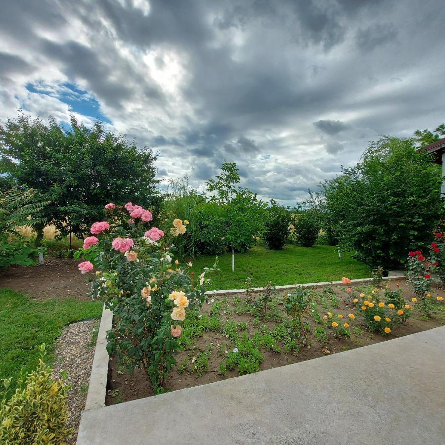 Villa Romelia - Select Apartments バドゥ エクステリア 写真