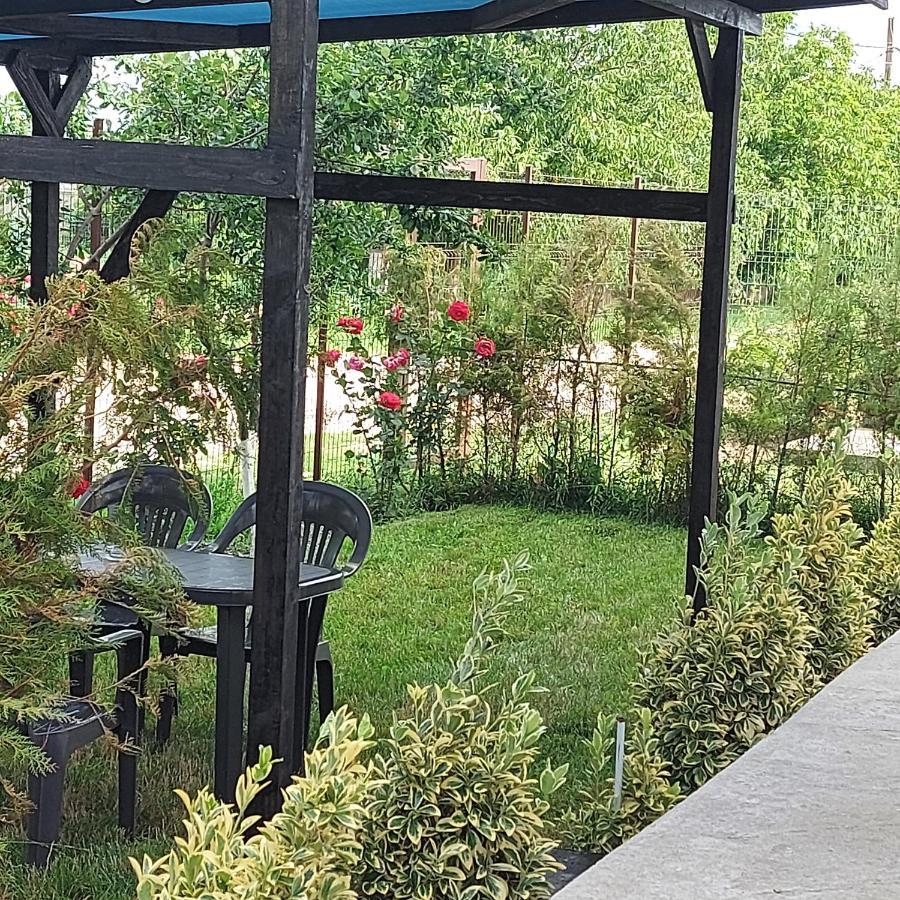 Villa Romelia - Select Apartments バドゥ エクステリア 写真